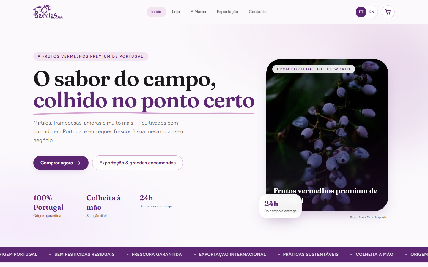 Loja online Top Berries & Co